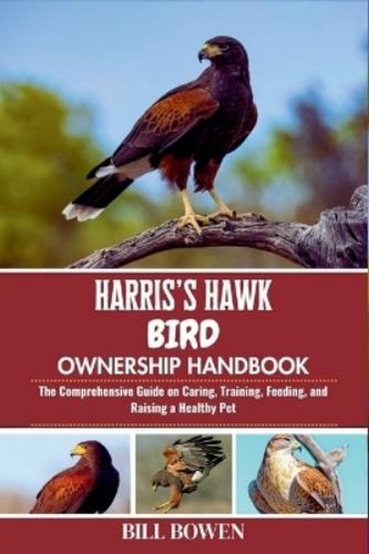 Bill bowen harris hawk bird - harris's,