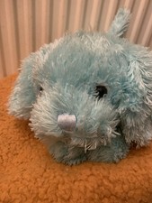 CHAD Valley/Woolworths