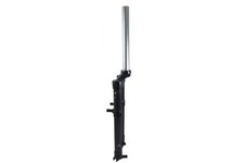 Exotic rigid carbon fork - exotic,
