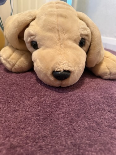 Simply soft collection dog - soft,