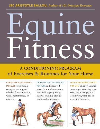 Equine fitness program - fitness:, a