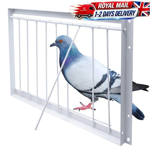 Removable pigeon entrance door - removable,