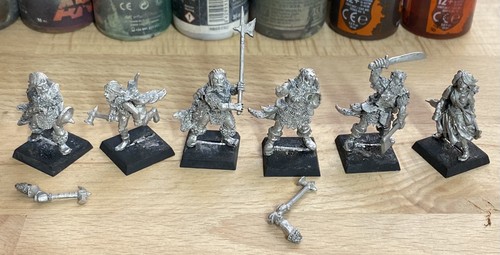Middenheim warband complete - warband,