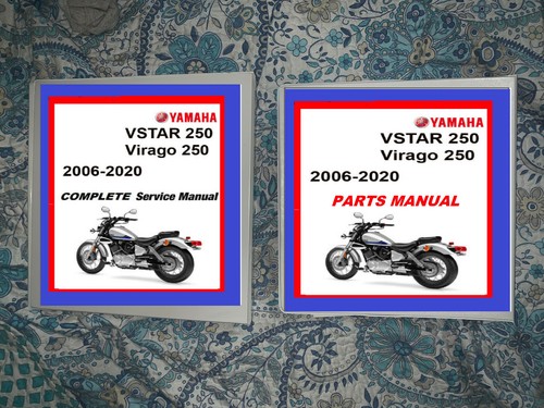 2006 2020 yamaha virago 250 - 2006-2020,