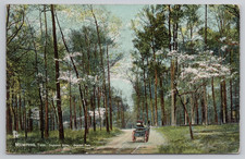 Postcard Dogwood Drive