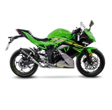 LEOVINCE GP CORSA EVO CARBON