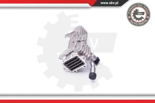 Cooler exhaust gas - cooler,