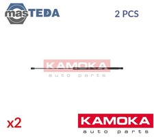 7091010 GAS SPRING BONNET SET