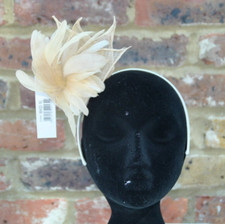 Marc Taylor FASCINATOR  on