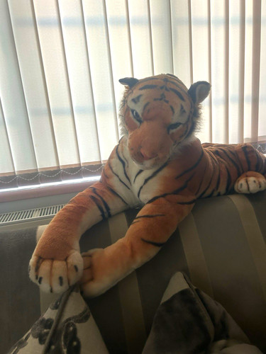 Large plush tiger - soft, toy