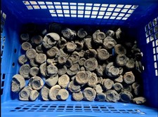 Genuine Whitby Yorkshire