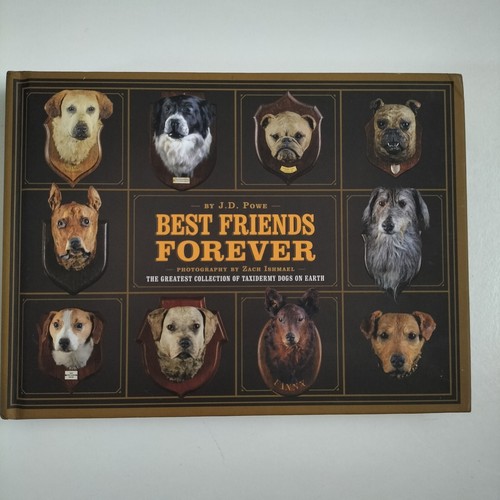 Best friends forever - best,