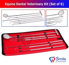 Smile England Equine Dental