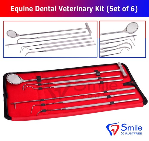 Smile england equine - england, dental