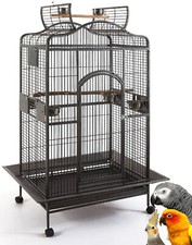 X-LARGE Bird Parrot Open