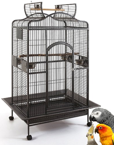 Large bird parrot - x-large, open