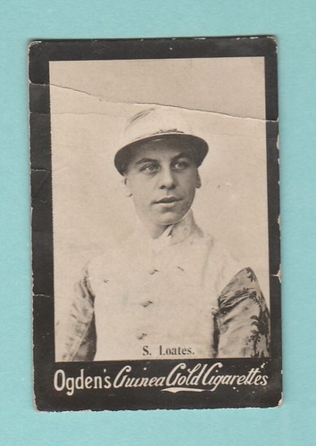 Jockey ogdens guinea - ,