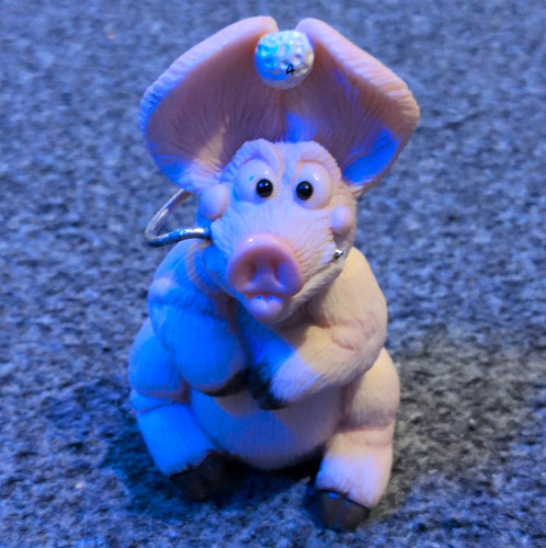 Piggin teed off pig - piggin',