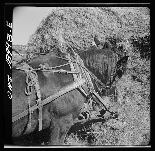 Photo moreno valley new mexico - photo:moreno,