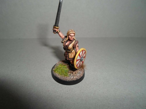 Saxon/Viking/Barbarian