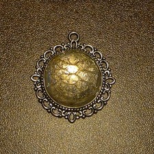 Authentic STUNNING Real Snake