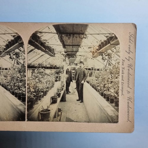 Victorian horticulture - victorian,