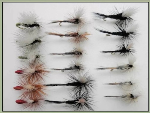 Pack parachute dry - 18,