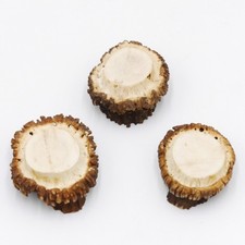 Roses 3 Pieces Rose Deer Red