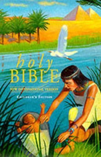 Niv popular children bible - popular, children's