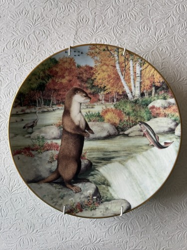 The woodland year peter - the,