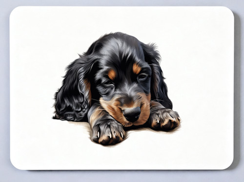 Gordon setter picture - gordon, picture,
