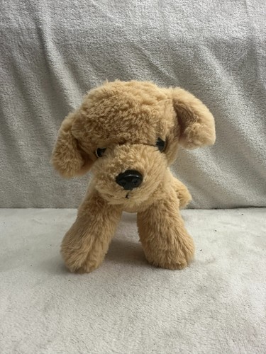 Tjm golden retriever labrador - retriever,
