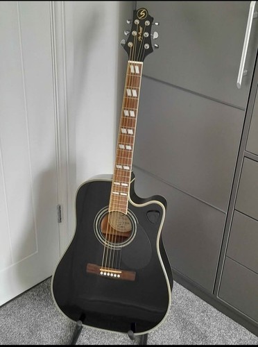 Greg bennett electro acoustic - greg,