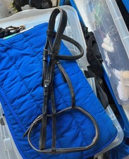 John Whitaker Black Bridle Full Size