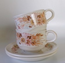 TWO POOLE SUMMER GLORY CUPS &