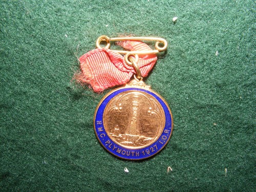Vintage enamel badge - vintage,