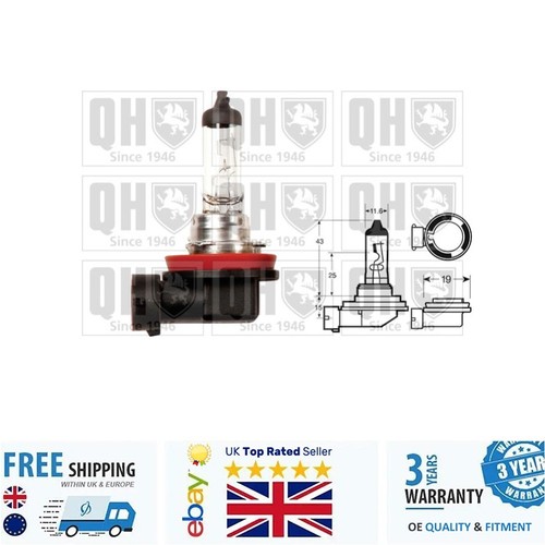 Front fog light bulb - fog,