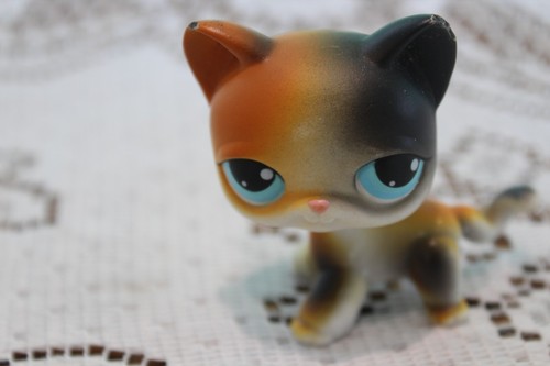 Littlest pet shop lps - littlest,