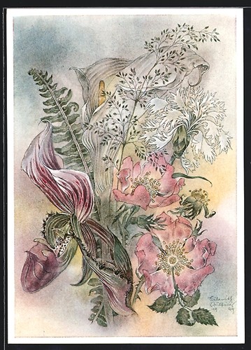 Artist postcard sulamith - postcard,