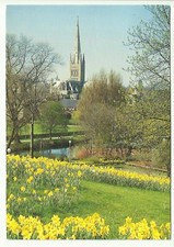 Norwich Cathedral postcard