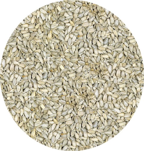 Sunflower kernels chips 3kg - kernels/chips,