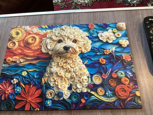 Bichon frise dog lovely - , cute