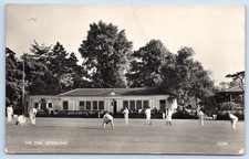 Sevenoaks the vine playing