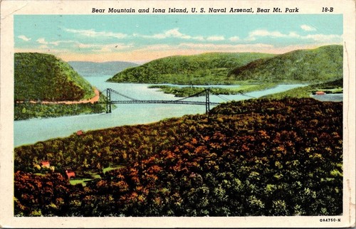Bear mountain and iona - bear,