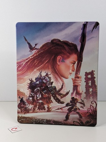 Horizon forbidden west - horizon,