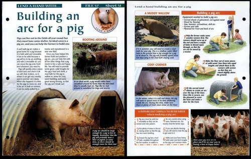 Arc for pig lend a - pig,