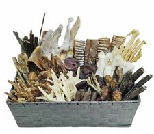 Absolute Bargain New 100