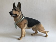 Country Artists Best In Show