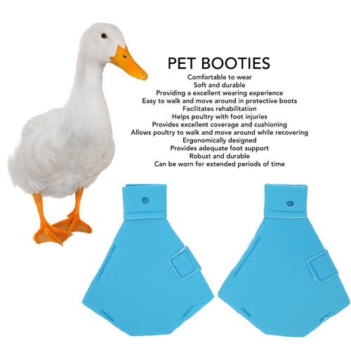 Duck protective shoes - duck,
