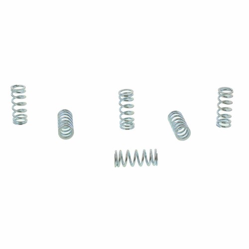 Trw clutch spring kit - clutch,